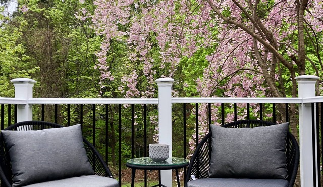 In town, newly remodeled studio with private balcony in Shelburne Falls