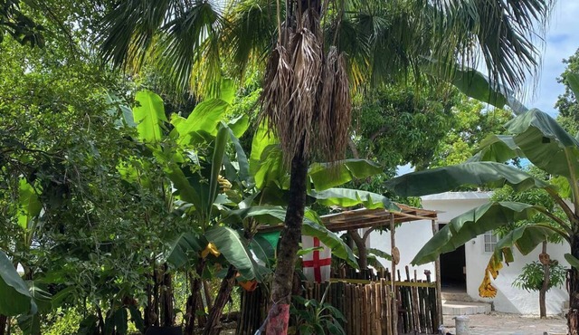 Inez Roots Hostel in Montego Bay