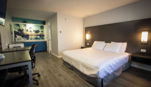 King Accessible Non-Smoking Pet Friendly in Henderson