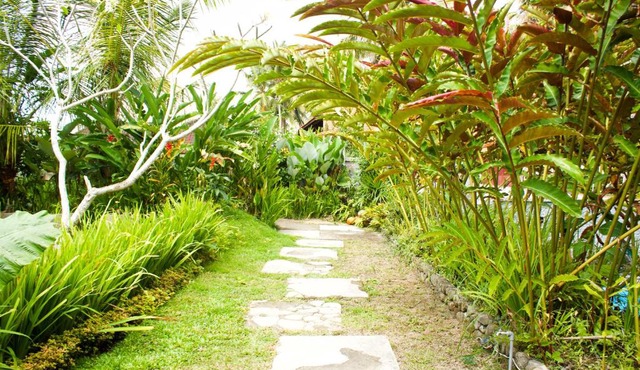 Kishi-Kishi in Ubud