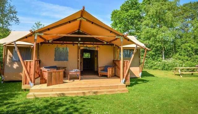 Lodge tent 6 in Mol
