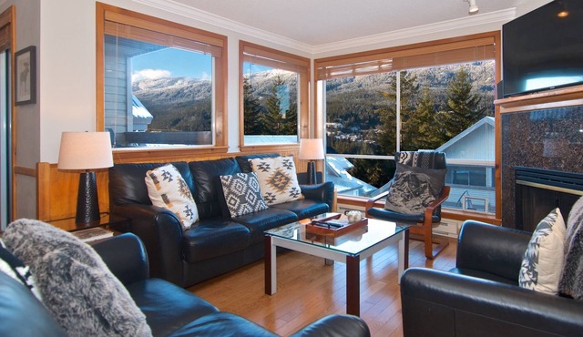 Newly remodeled Dec 2024, Private Hot tub ,easy walk to ski path for ski in/out at Creekside Gondola in Whistler