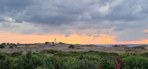 Phaedrus Living Venus Seaview Lighthouse Villa in Paphos