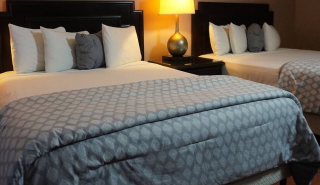 Princess Hotel and Casino Free Zone