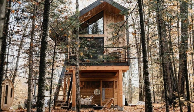 Raven`s Roost- private luxury treehouse with sauna in Dorset