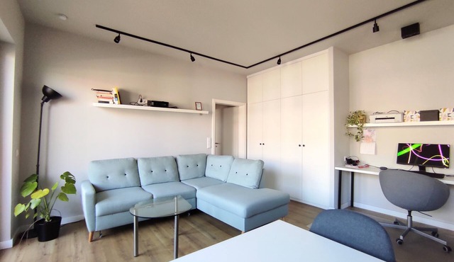 Recently refurbished flat, very well connected and close to Mauerpark in Berlin