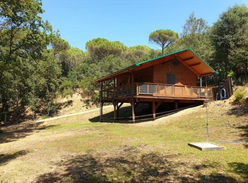 Rustic Cabin in the Woods/Cabaña en el bosque in Amer
