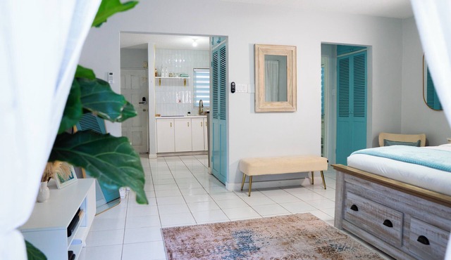 Serene Super Studio Apartment with porch in Kingston in Kingston