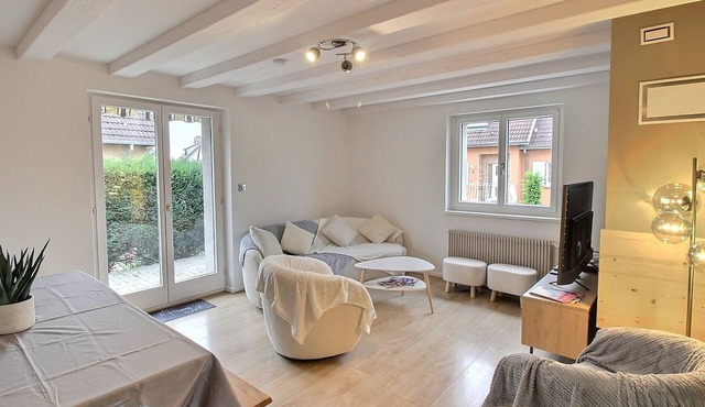 Spacious house in Colmar, 5 bedrooms, terrace, WiFi, free parking in Colmar