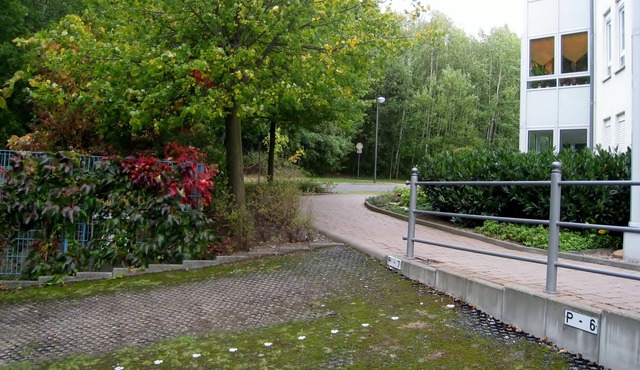 The spacious apartment with plenty of space and comfort at the edge of the forest in Weimar