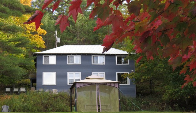 The “Upper Dancehall”: An elevated lake view, in a forested cottage in Port Sydney