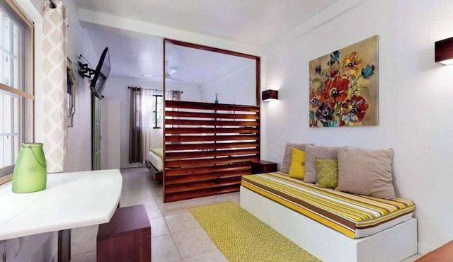 Tropical studio w patio, WiFi, AC - steps to the sea, water taxis & restaurants