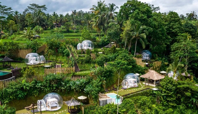 Unique Bubble Dome Ubud with private pool in Gianyar