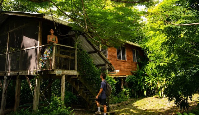 Unique Private Tree Top Cottage in Tropical Garden, Near San Ignacio Town