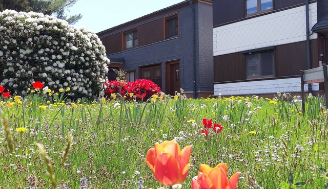 Vacation apartment/apartment for 3 guests with 50m² in Meuselbach-Schwarzmühle (123014) in Meuselbach-Schwarzmühle