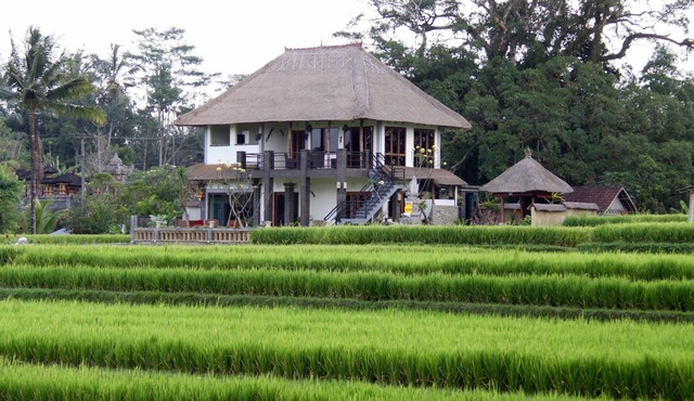 Villa near Ubud, panoramic view of rice fields and the volcano in ubud