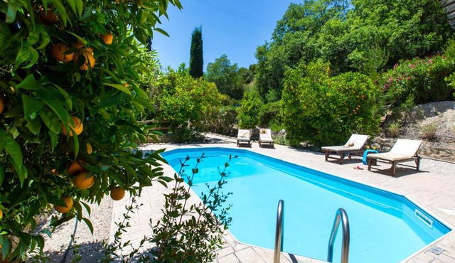 Villa Neraida in Paphos City