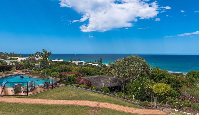 Whale season is upon us, watch from your balcony in SUNSHINE BEACH