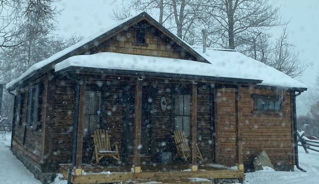 Winter at Kodow Kabin! 1865 cabin/hot tub close to Red Lodge and skiing! in Roberts