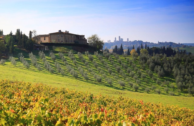 Hotel San Gimignano D 