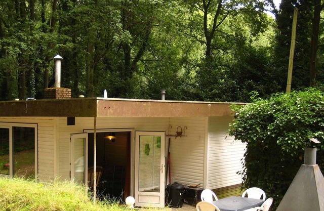 Chalet Surrounded 