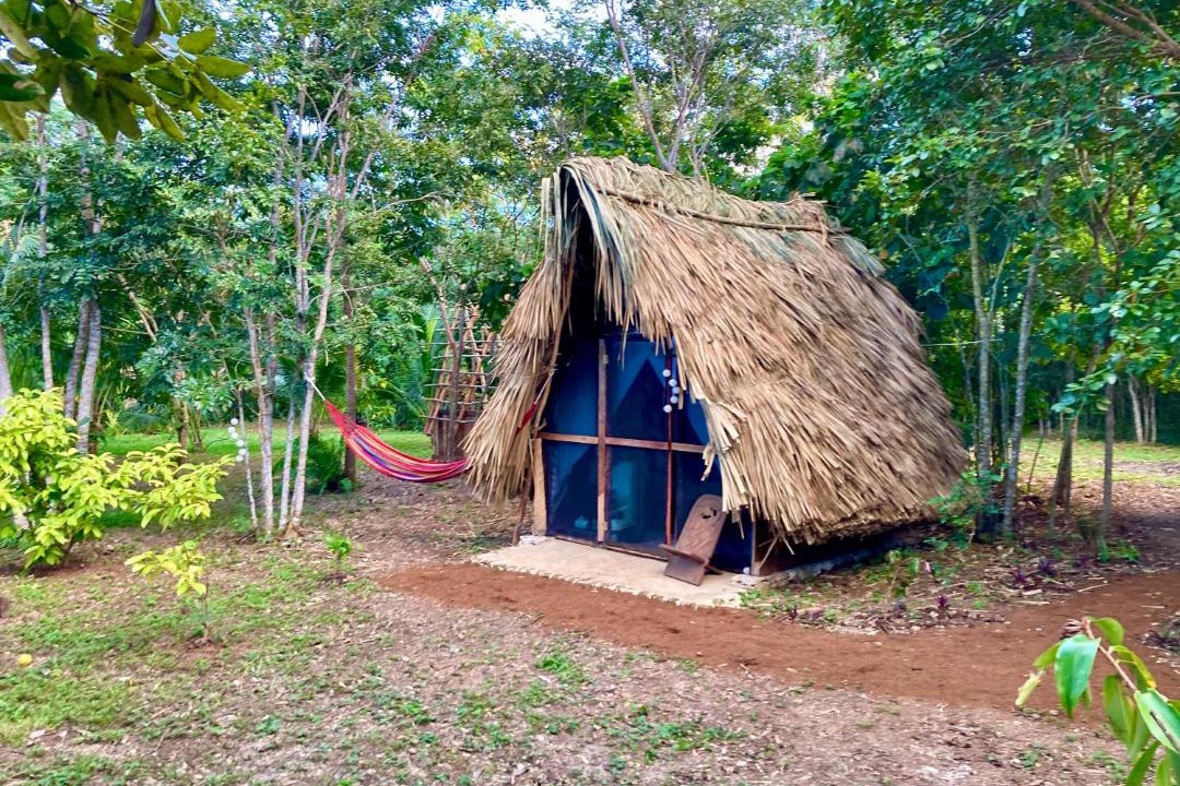 Corozal District House | Eco Farmstay near Corozal Belize Quiet Nature Stay
