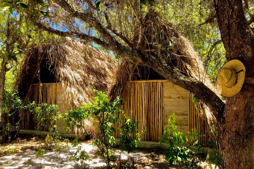 Surfside Cabin | Muluk Grove Lodge