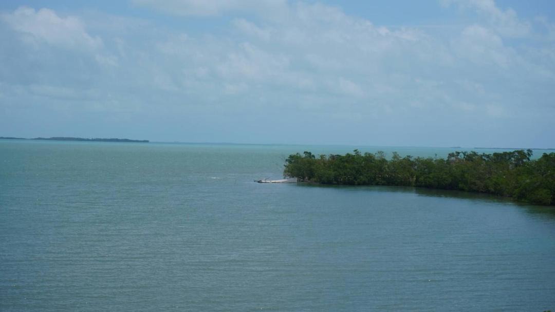 Belize City Apartment | See Belize RELAXING Studio with Sea View Infinity Pool & Overwater Deck