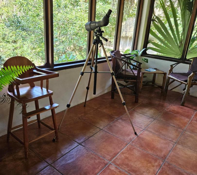 Jacinto Ville Hotel | Creekside Oasis
