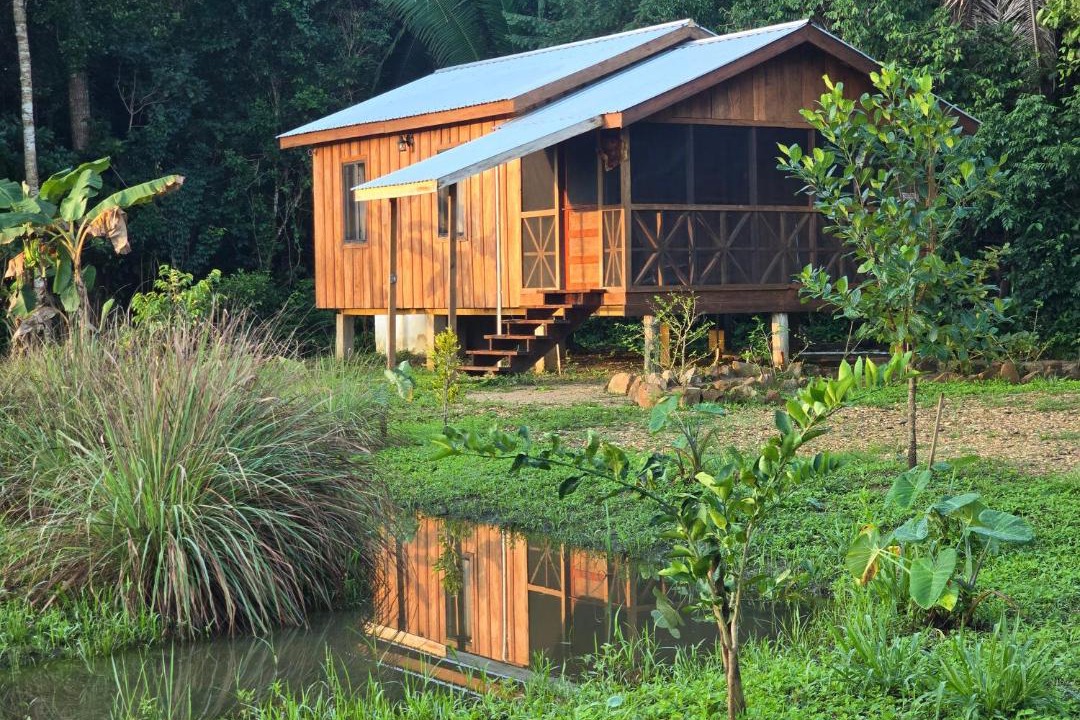 Hopkins Apartment | Hibiscus Cabin with AC at Freshwater Creek Cabanas