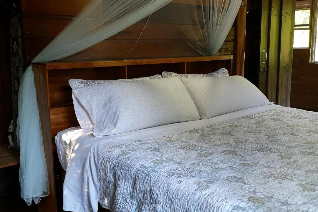 Mountain Pine Ridge Resort | Barton Creek Unique Resort