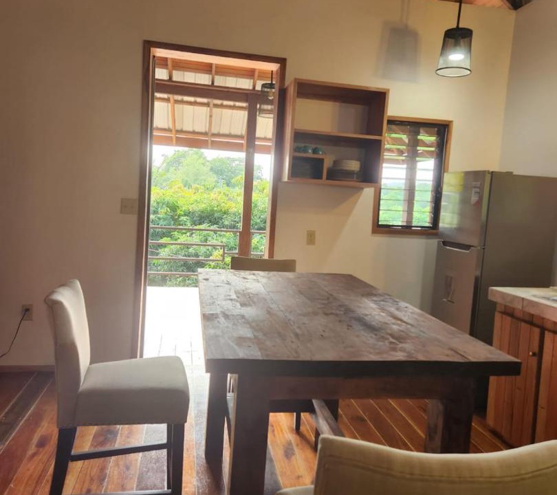 Bullet Tree Falls House | Turtle Suite