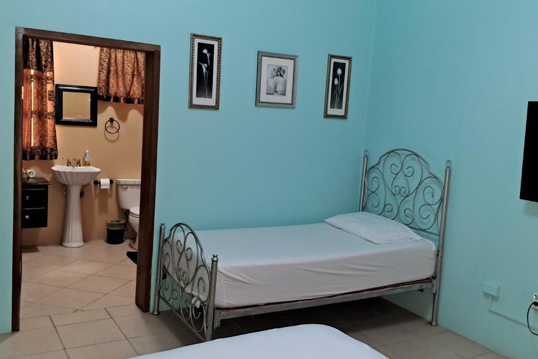 Orange Walk Apartment | Banyan Rose