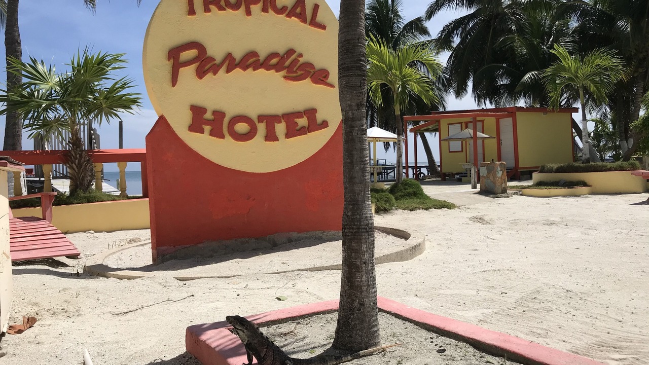 Photo of Outdoor in Caye Caulker