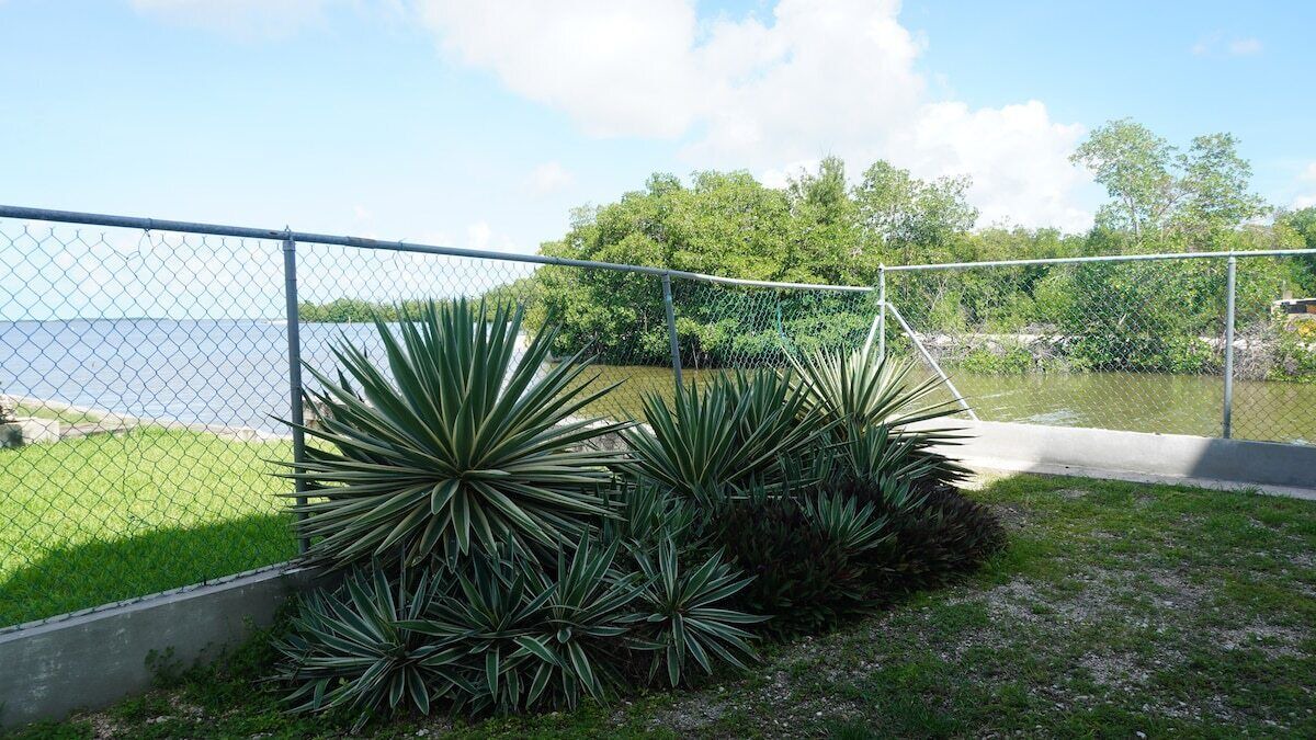 Photo of Outdoor in Belize City