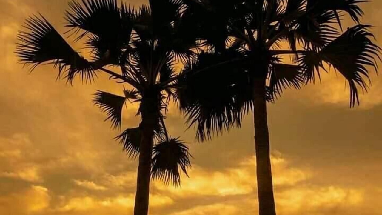 Photo of Outdoor in San Pedro