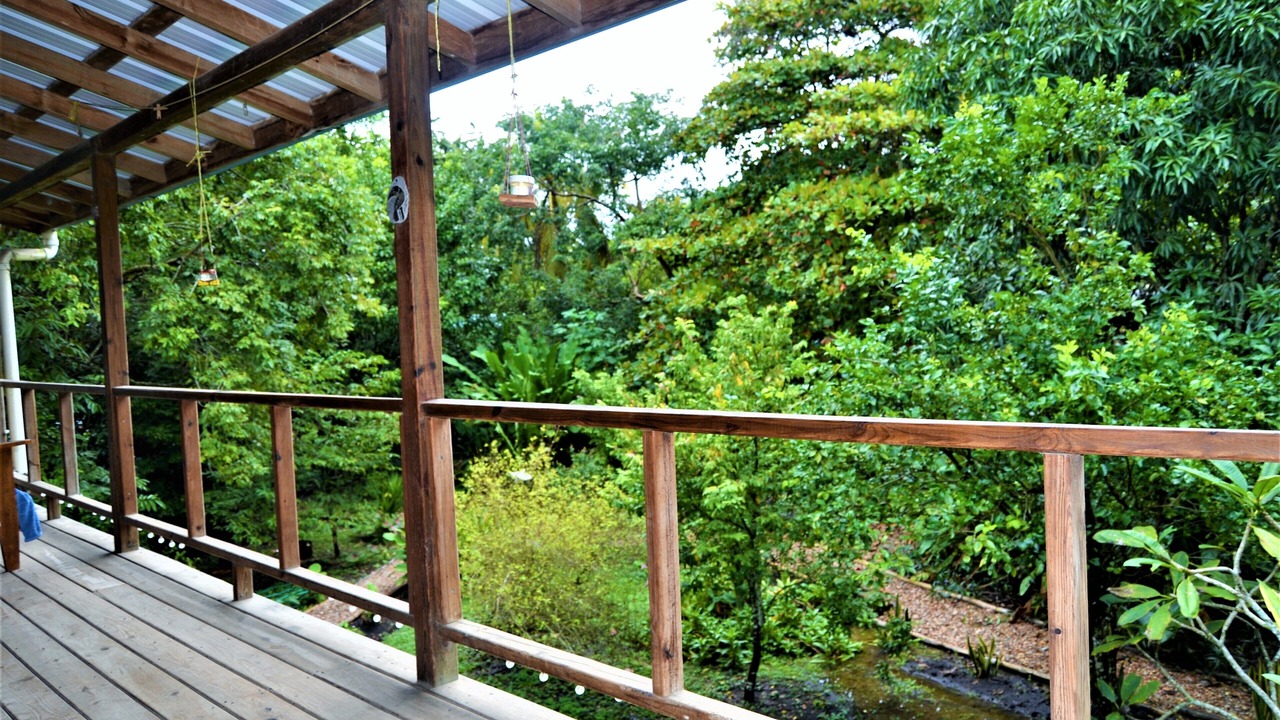 Photo of Patio Balcony in San Ignacio