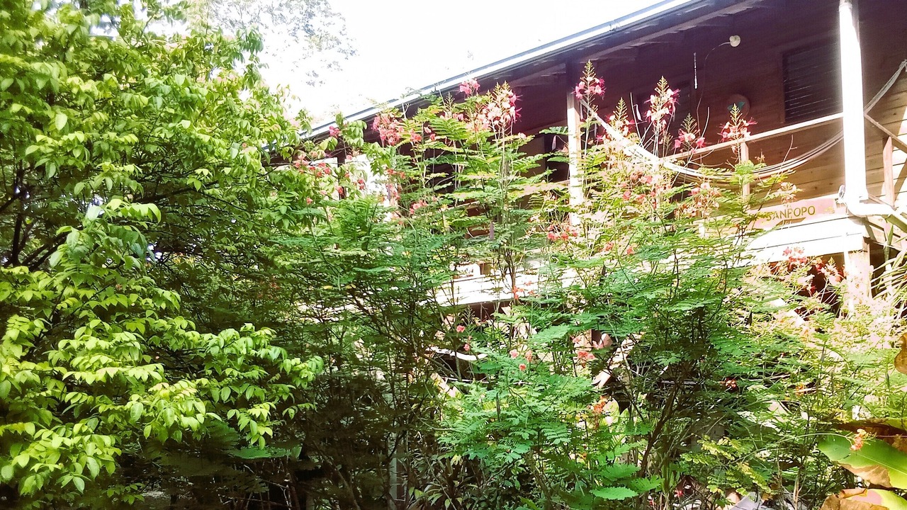 Photo of Patio Balcony in San Ignacio