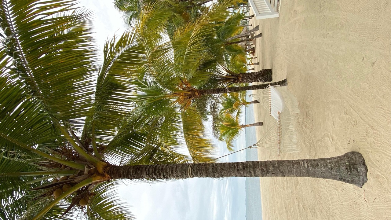 Photo of Outdoor in Placencia