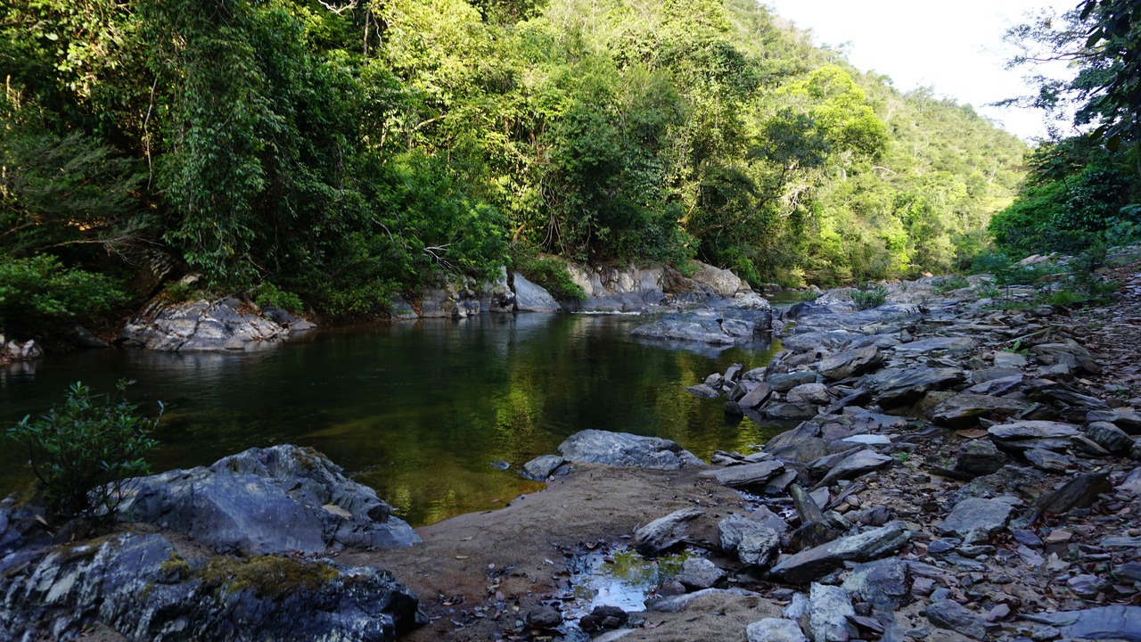 Photo of Outdoor in Placencia