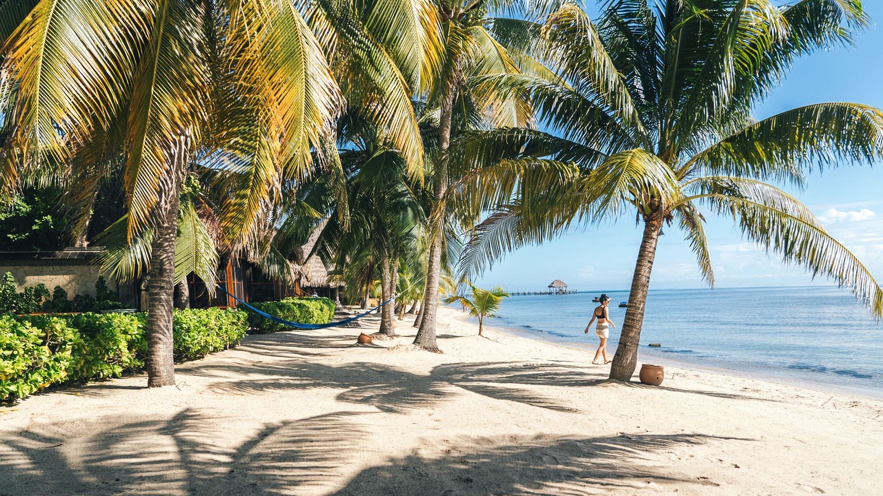 Photo of Others in Placencia