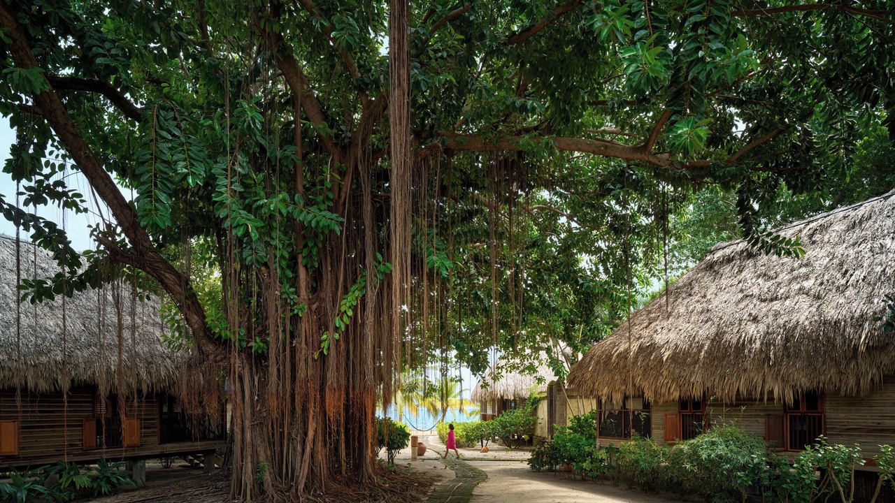 Photo of Bedroom in Placencia