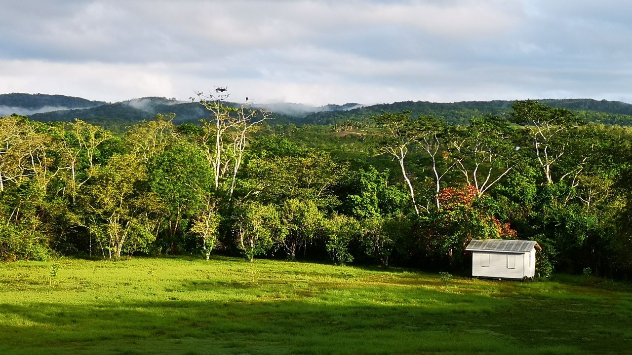 Photo of Others in San Ignacio