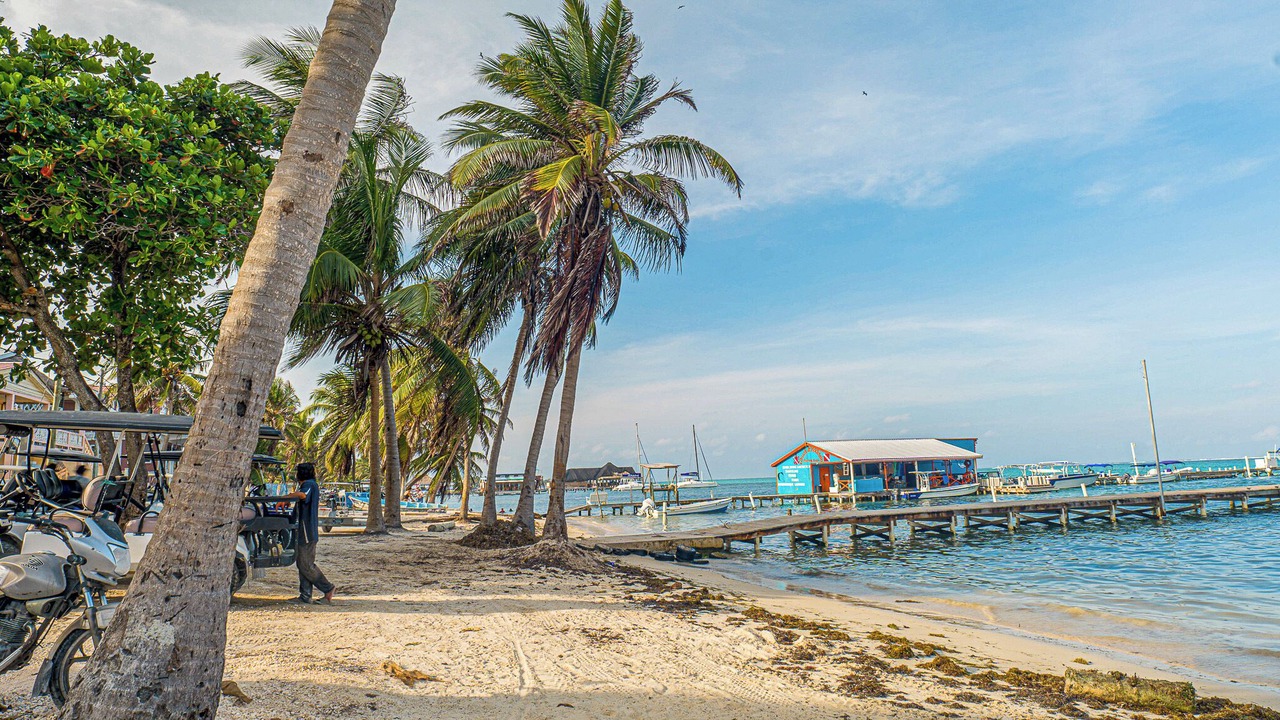 Photo of Others in San Pedro