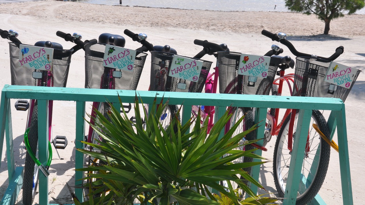 Photo of Outdoor in Caye Caulker