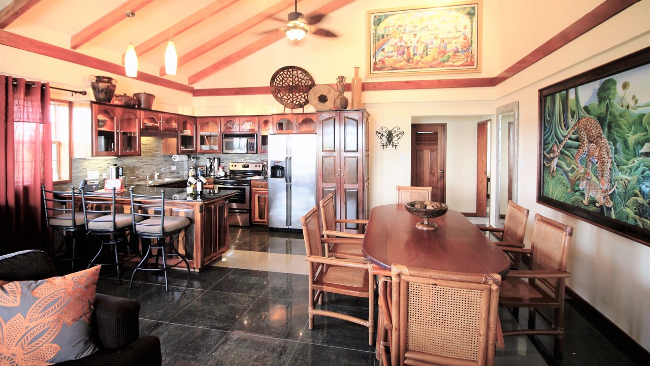 Photo of Livingroom in Placencia