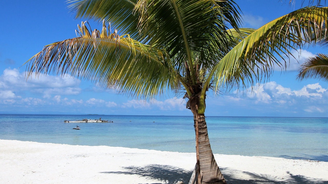 Photo of Others in Placencia