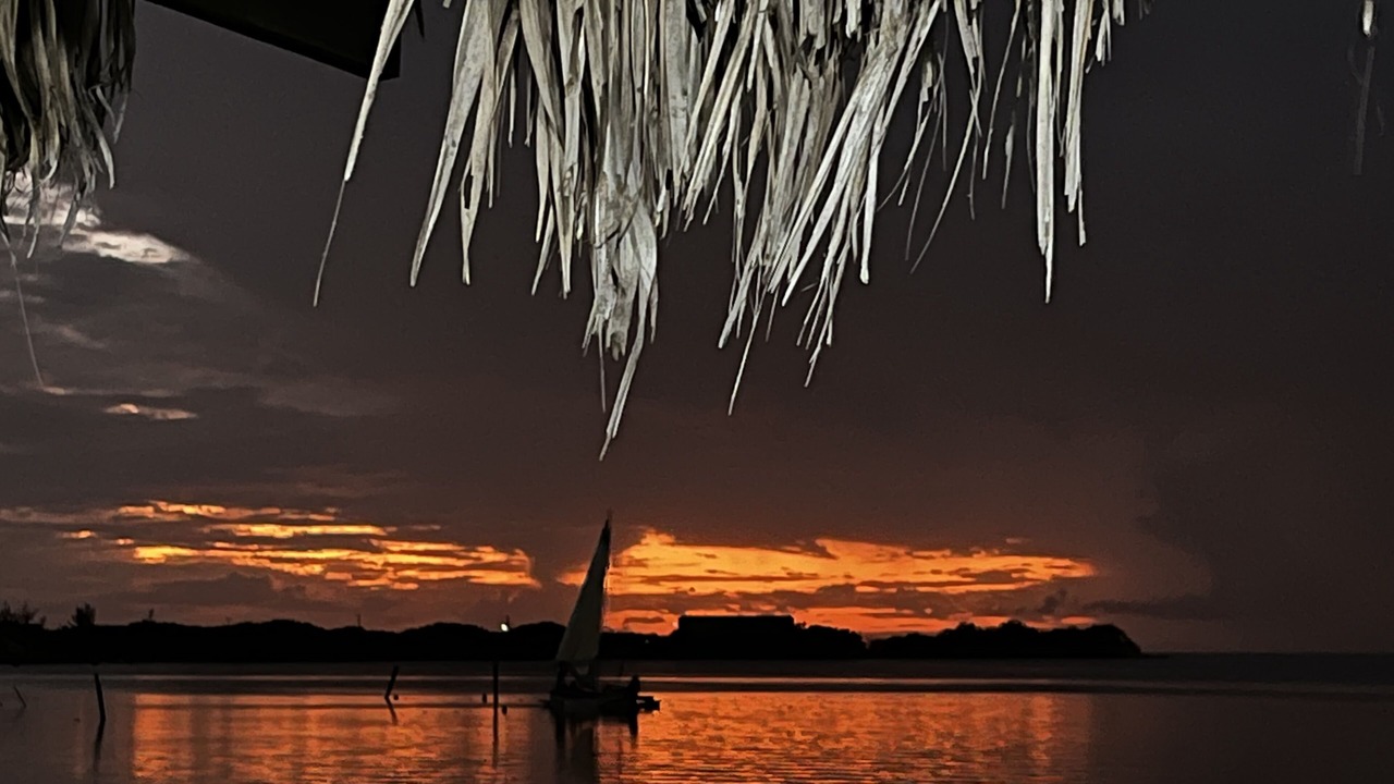 Photo of Outdoor in Caye Caulker