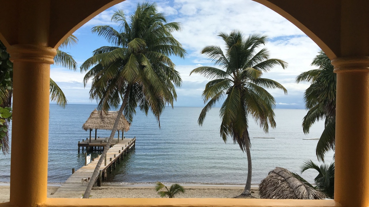 Photo of Patio Balcony in Sittee River Village