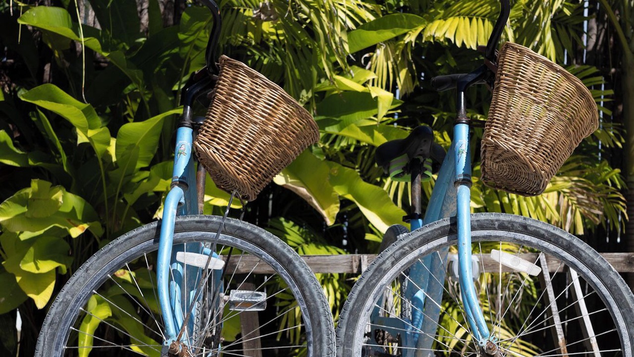 Photo of Others in Caye Caulker